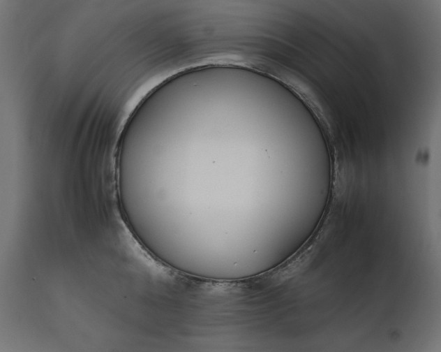 X0000111530808200907281401