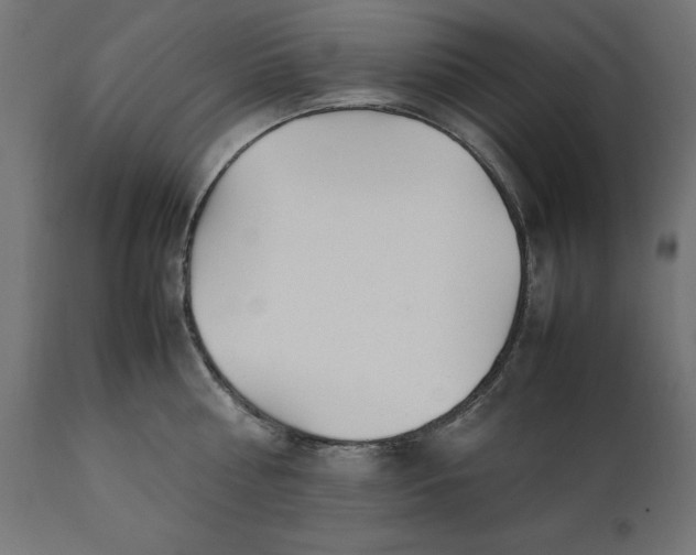 X0000111530810200907281401