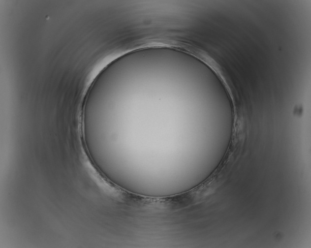 X0000111530811200907281401