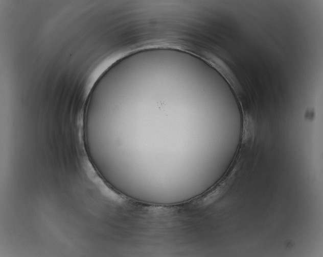 X0000111530812200907281401