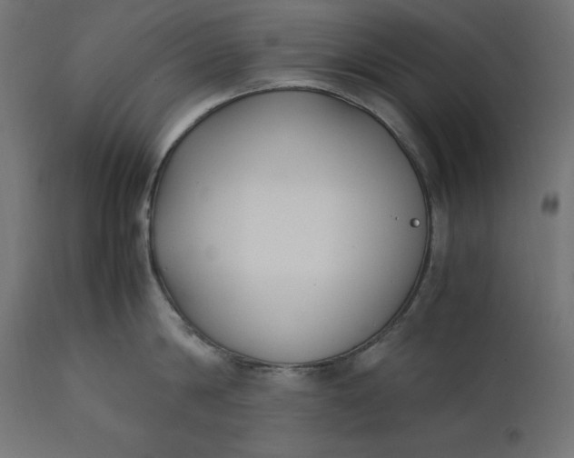 X0000111530814200907281401