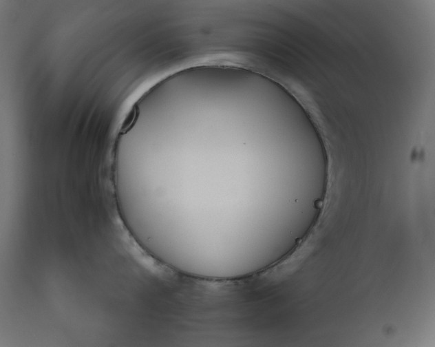 X0000111530816200907281401