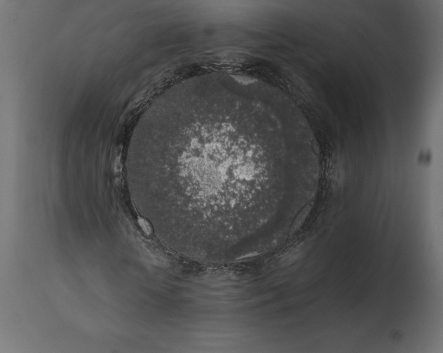 X0000111530818200907281400