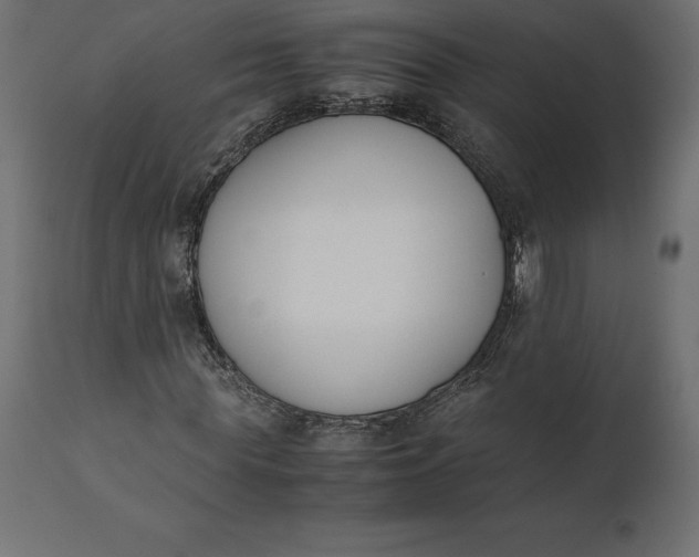 X0000111530819200907281400