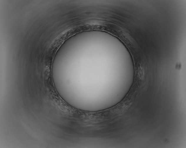 X0000111530821200907281400