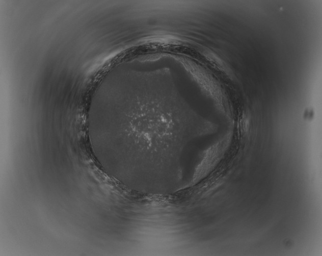 X0000111530822200907281400