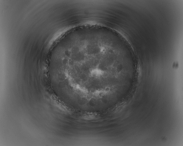 X0000111530823200907281400