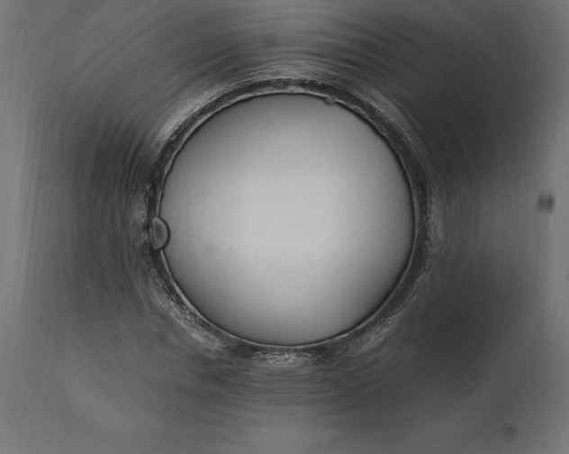 X0000111530826200907281400