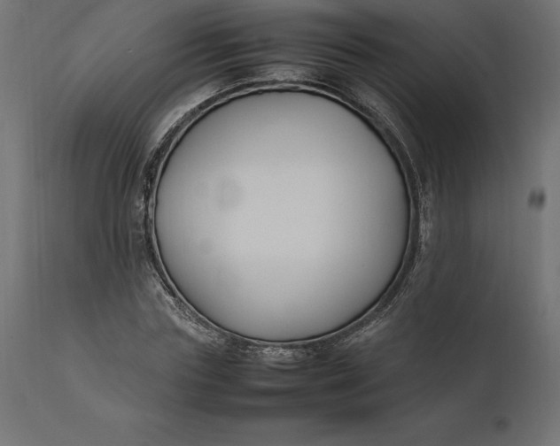 X0000111530827200907281400