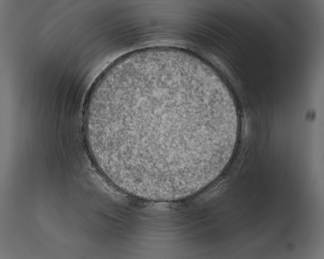 X0000111530828200907281400