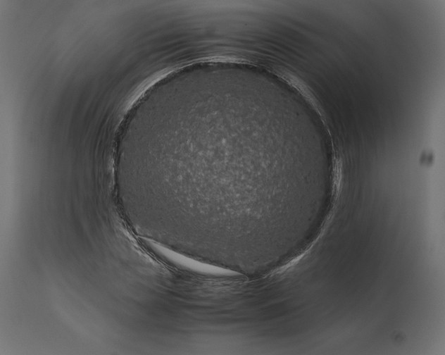 X0000111530829200907281400