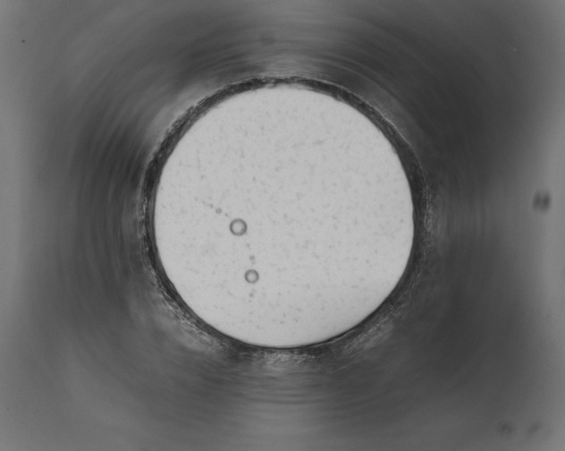 X0000111530832200907281400