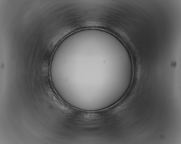 X0000111530833200907281400