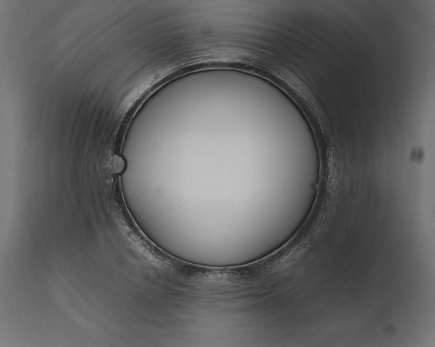 X0000111530834200907281400