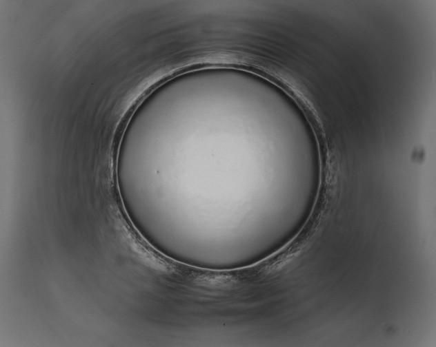 X0000111530837200907281400