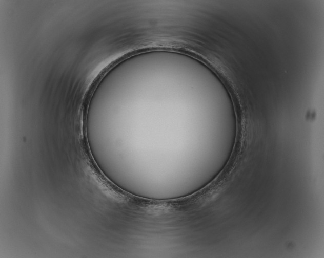 X0000111530838200907281401