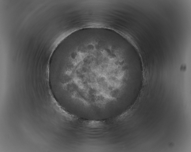 X0000111530839200907281401