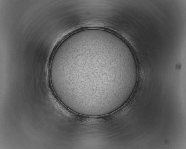 X0000111530840200907281401