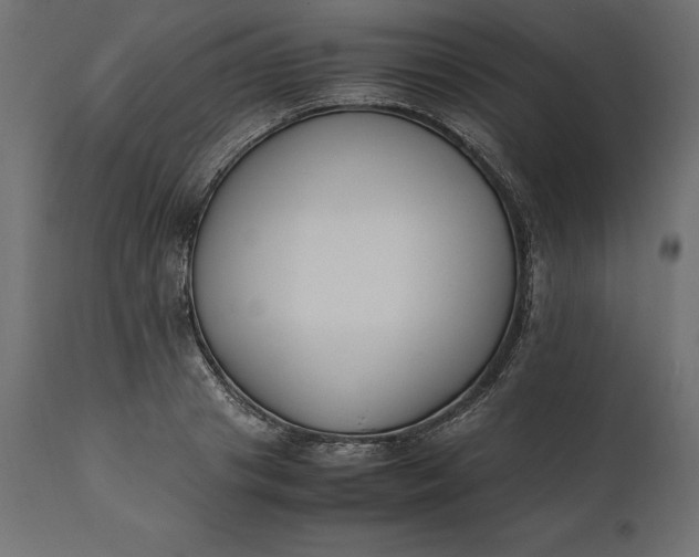 X0000111530841200907281401