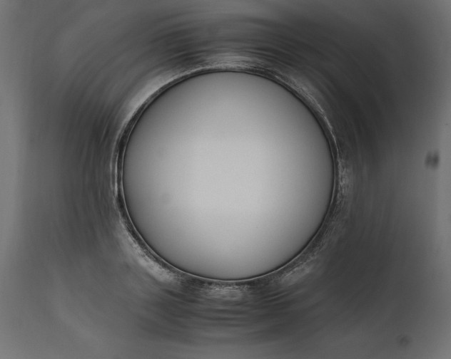 X0000111530843200907281401