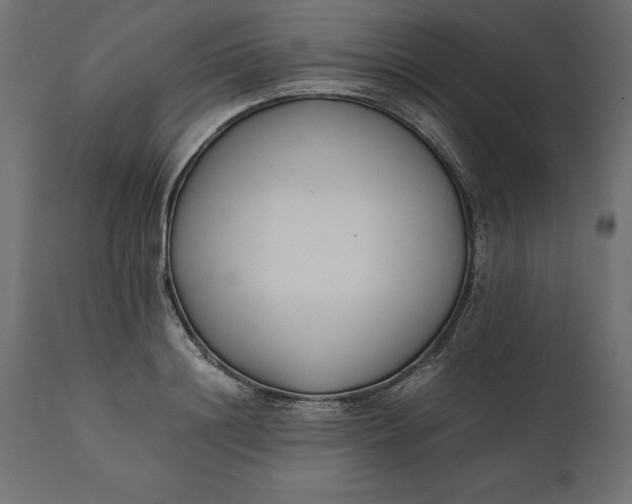 X0000111530844200907281401