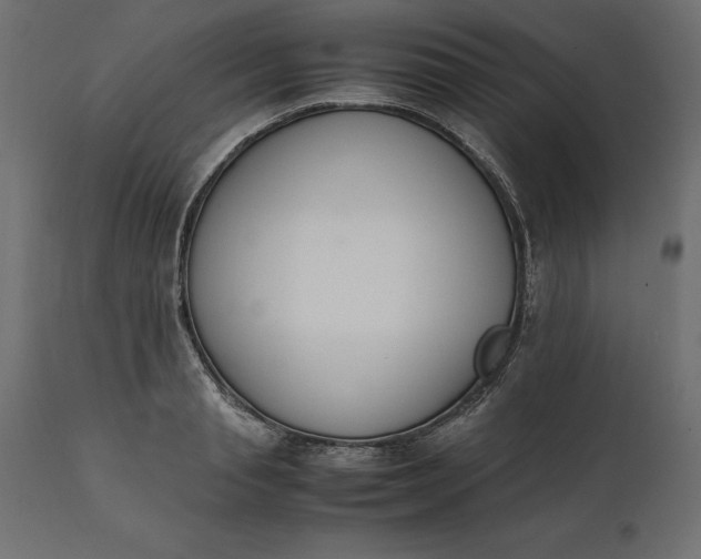 X0000111530845200907281401