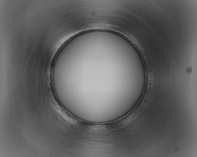 X0000111530846200907281401