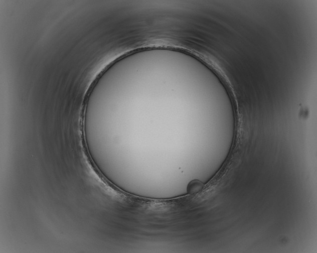 X0000111530847200907281401