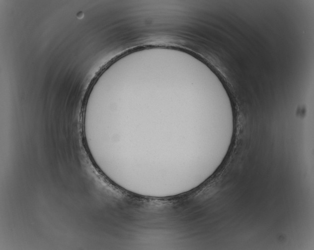 X0000111530848200907281401