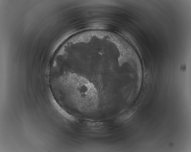 X0000111530851200907281401