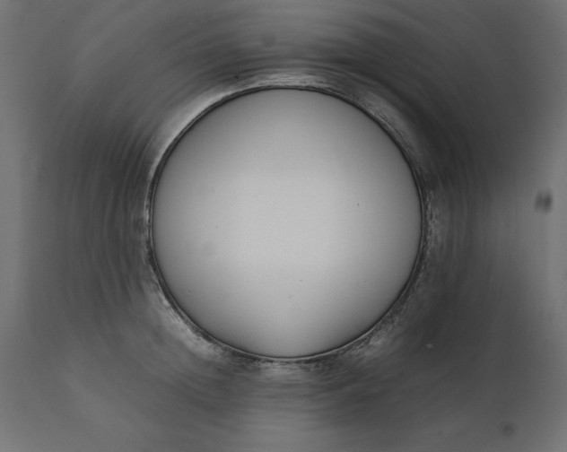 X0000111530852200907281401