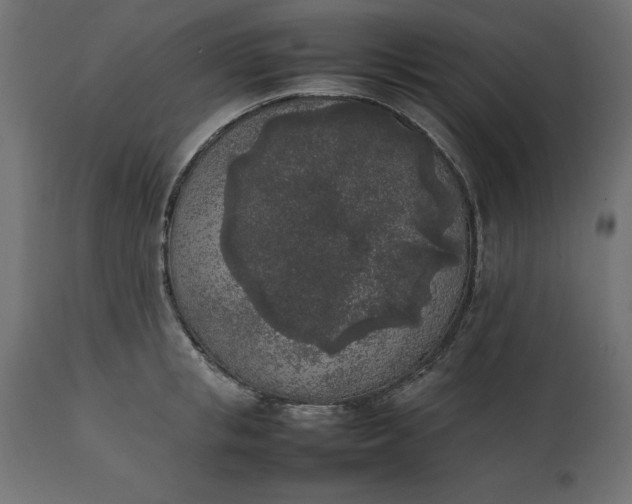 X0000111530853200907281401