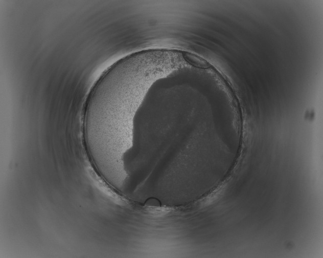 X0000111530854200907281401