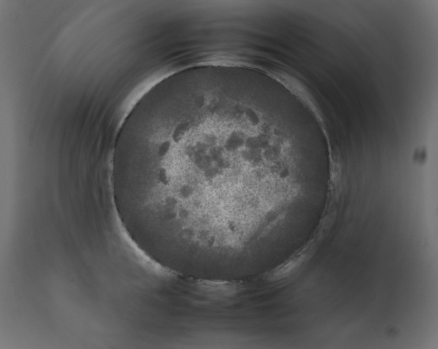 X0000111530855200907281401