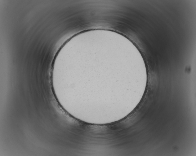 X0000111530856200907281401