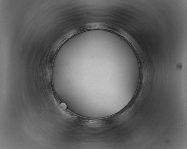 X0000111530857200907281401