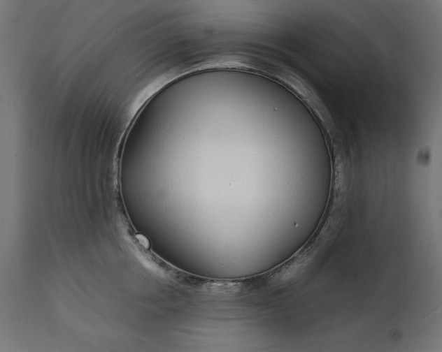 X0000111530858200907281401