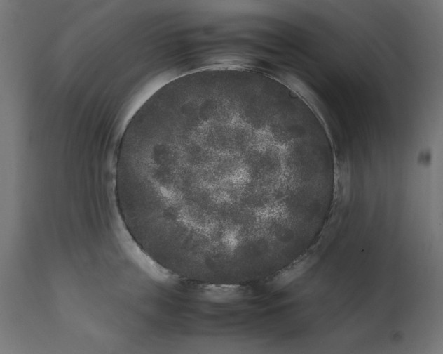 X0000111530859200907281401