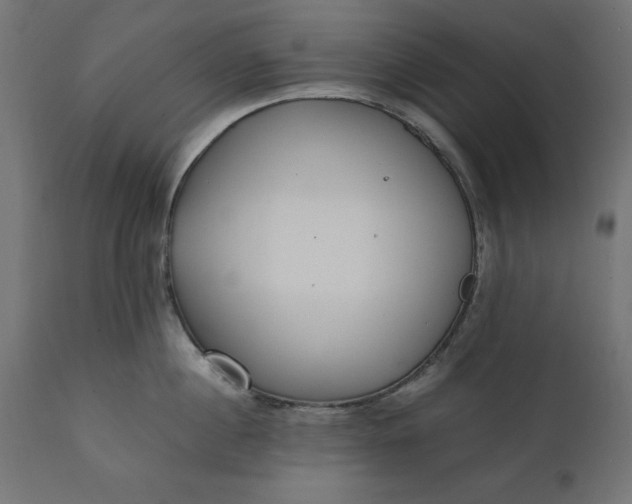 X0000111530860200907281401