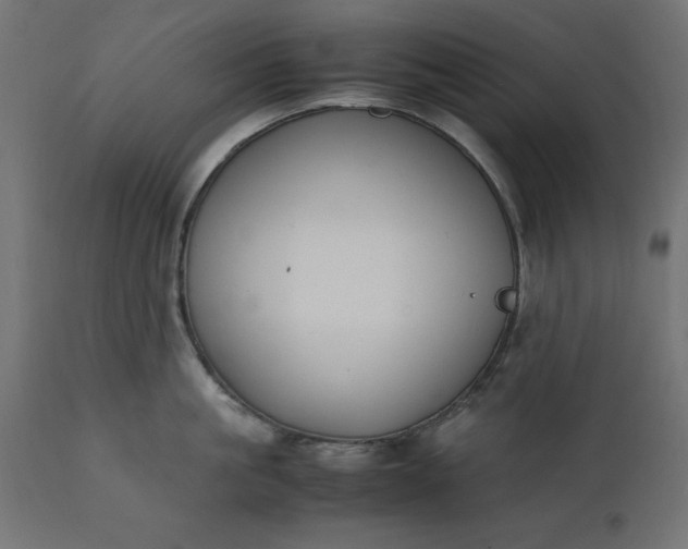 X0000111530861200907281401