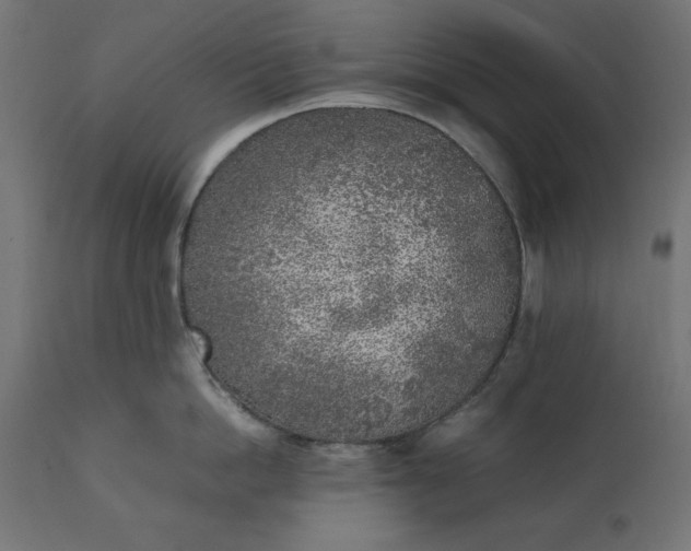 X0000111530862200907281401