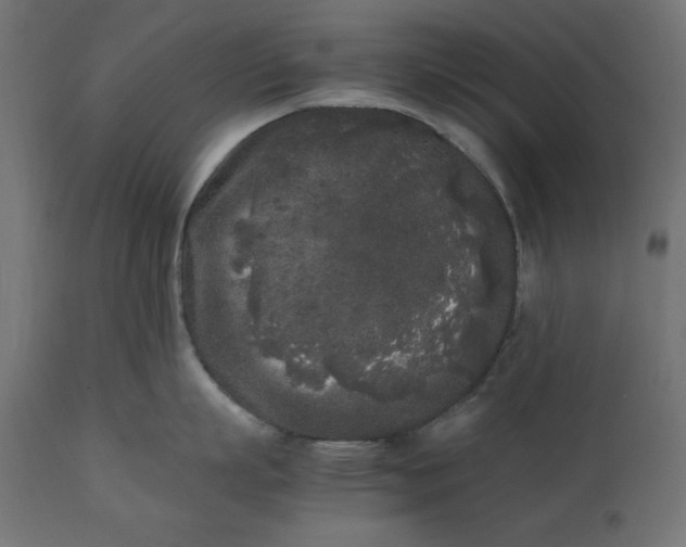 X0000111530863200907281401