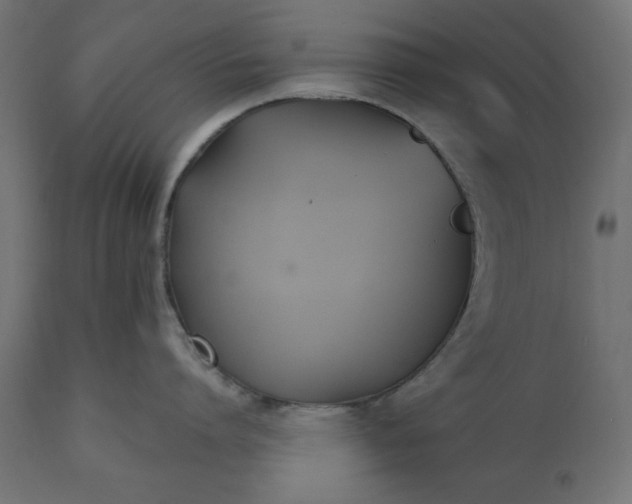 X0000111530864200907281401