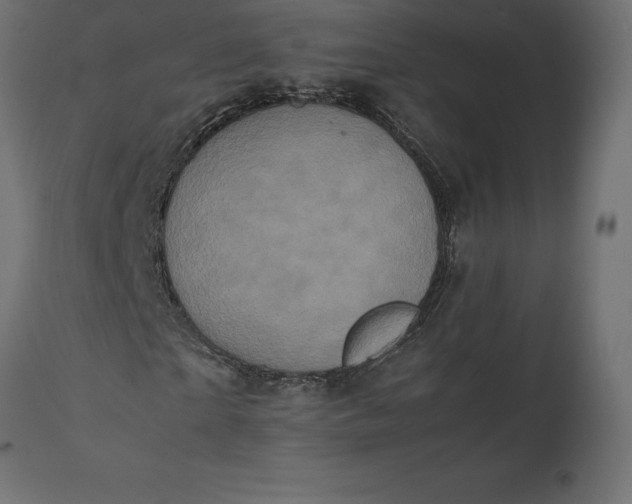 X0000111530865200907281400