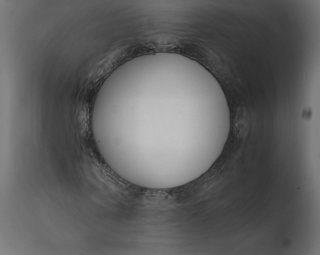 X0000111530866200907281400