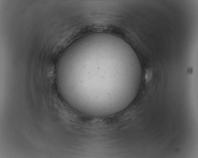 X0000111530867200907281400