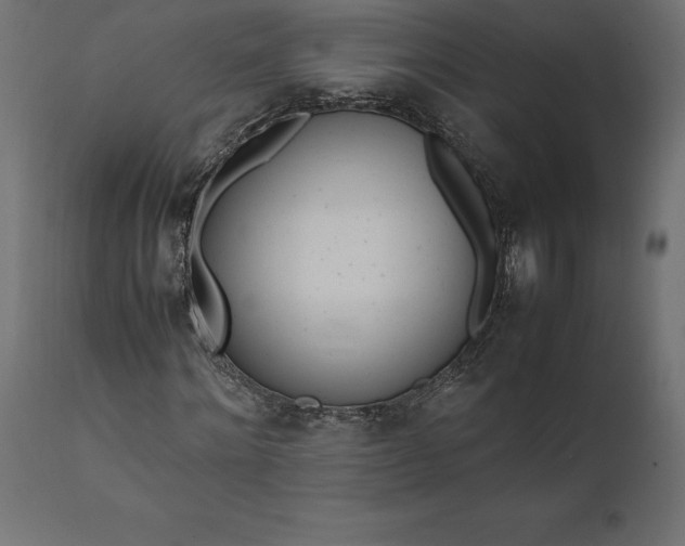 X0000111530868200907281400