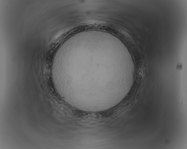 X0000111530869200907281400