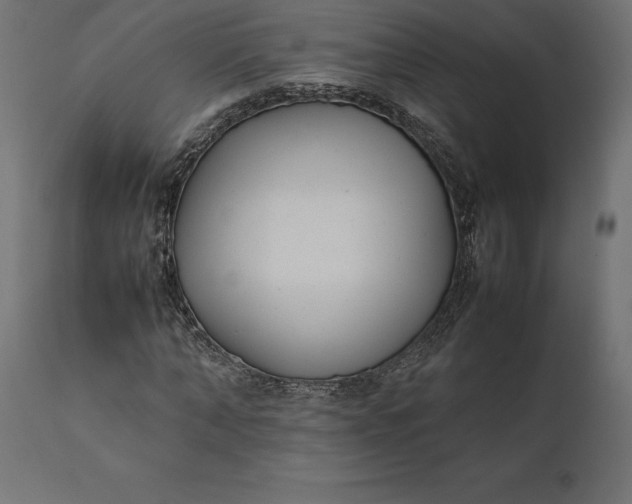 X0000111530870200907281400