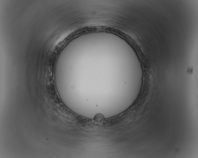 X0000111530871200907281400